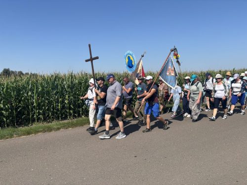 IMG 0493