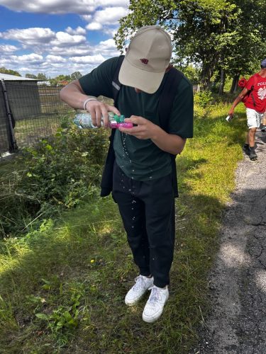 IMG 2973