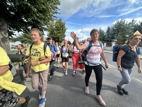 IMG 8650