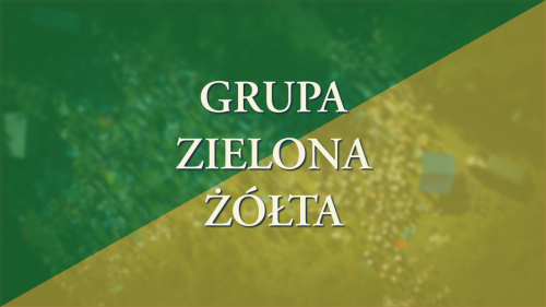 Grupa Żółta Zielona (9 sierpnia)